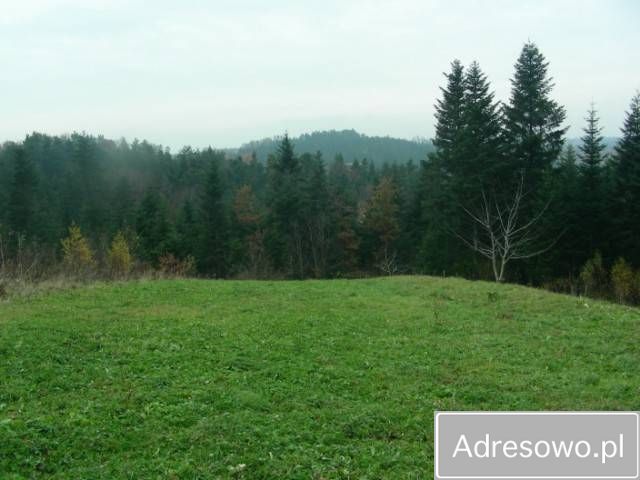 Działka budowlana Rzepiennik Strzyżewski. Zdjęcie 10