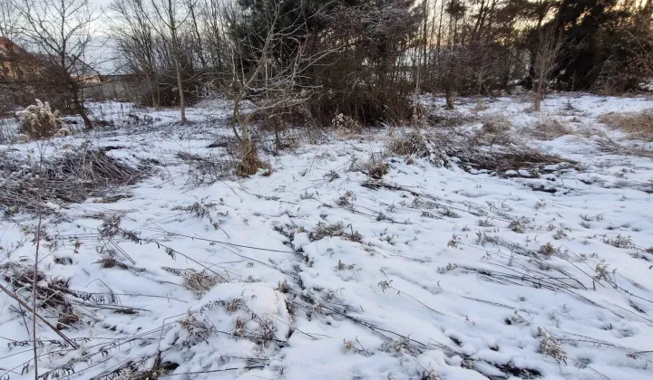 Działka budowlana Chełstów