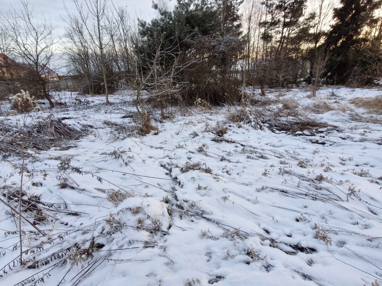 Działka budowlana Chełstów