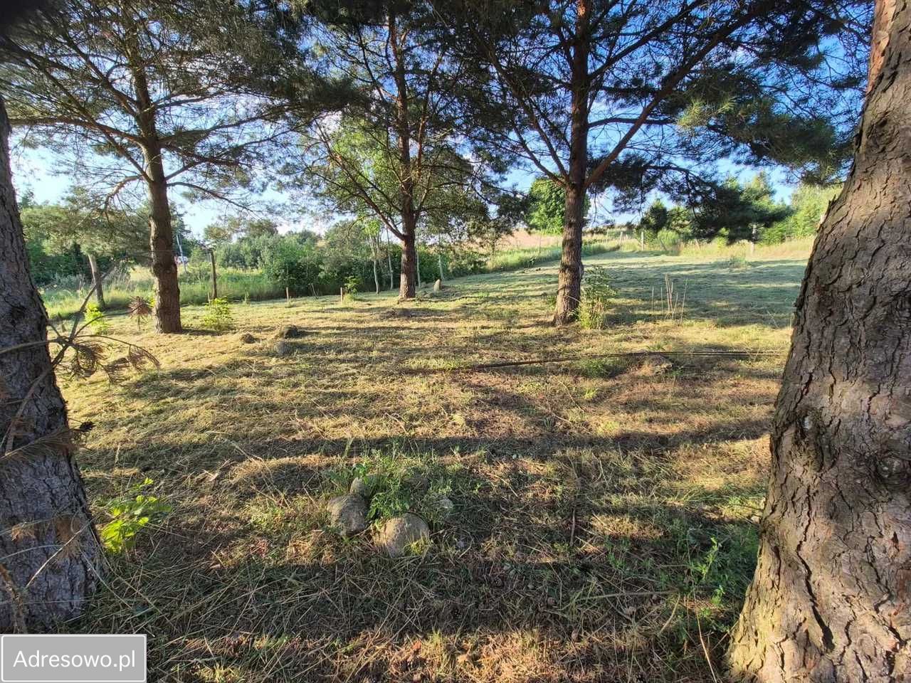 Działka budowlana Krzywe. Zdjęcie 8