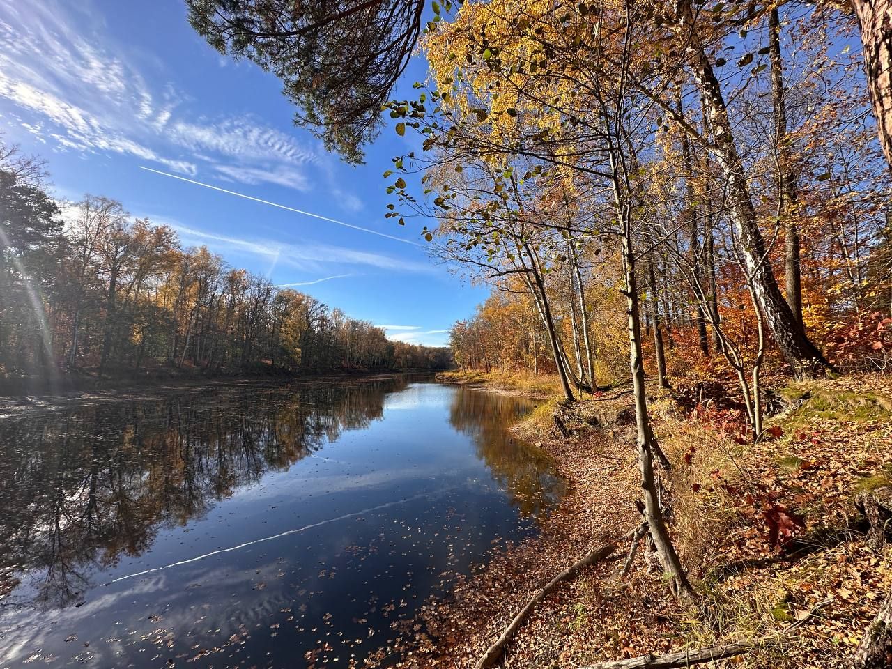 Działka budowlana Chełmica. Zdjęcie 9