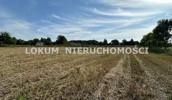 Działka rolna Zebrzydowice, ul. Adama Asnyka