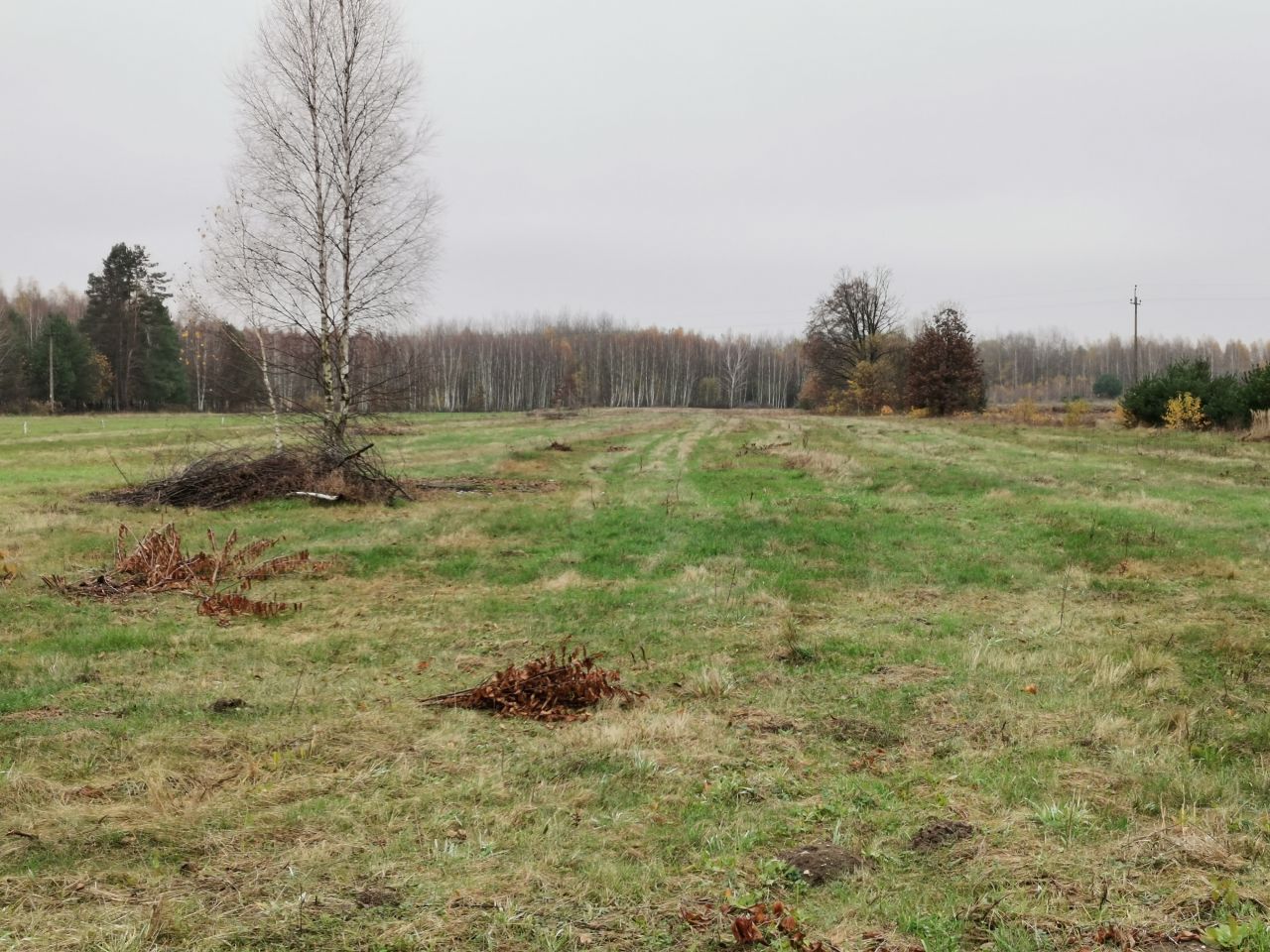 Działka rolno-budowlana Budy Józefowskie. Zdjęcie 2
