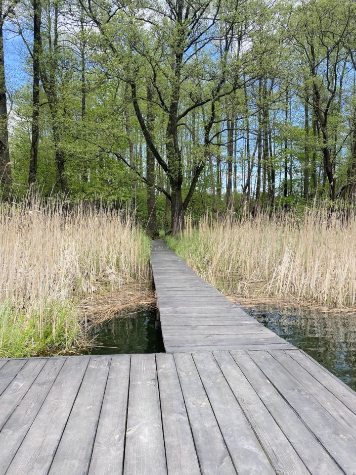 Działka rolna Swobodna. Zdjęcie 5