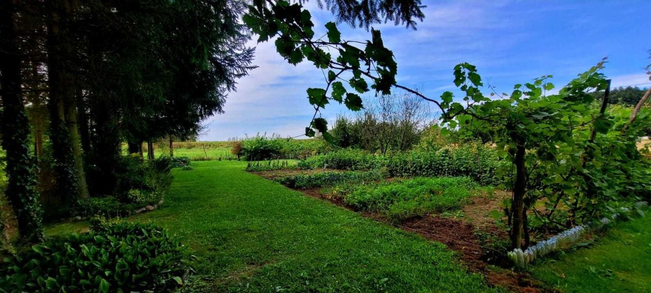 Działka rolna Bobrowice. Zdjęcie 6