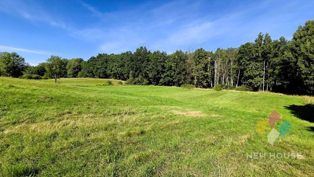 Działka Rozwady. Zdjęcie 5