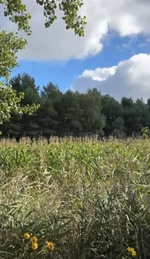 Mieszkanie 4-pokojowe Kamieniec Wrocławski, ul. Miodowa. Zdjęcie 11