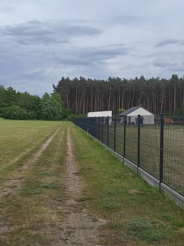 Działka leśna Kłady. Zdjęcie 1