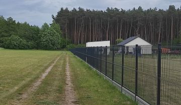 Działka leśna Kłady