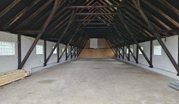 Hala/magazyn Stepnica, ul. Radosna