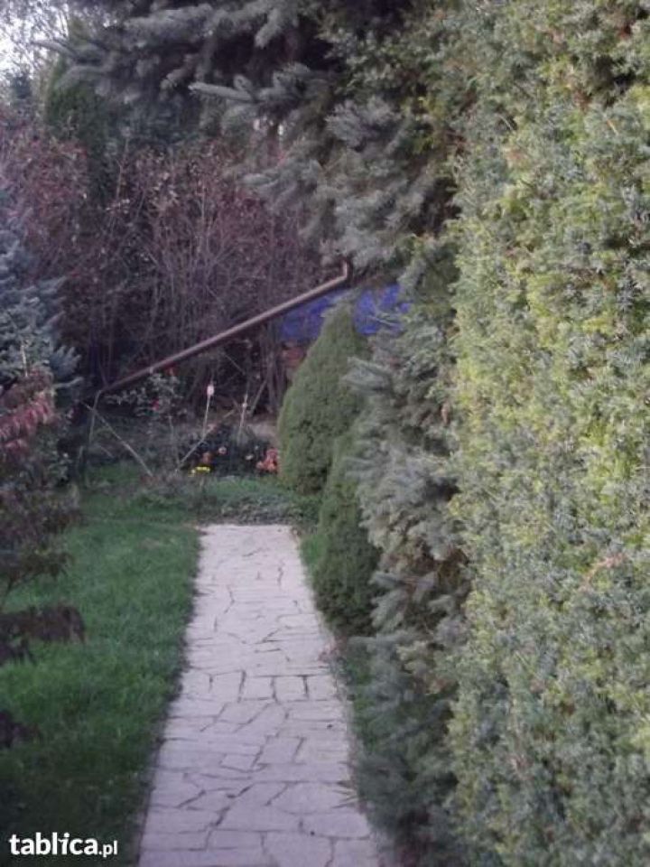 dom wolnostojący, 6 pokoi Maszków, ul. Na Kamieniec. Zdjęcie 4