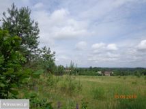 Działka rekreacyjna Cierzpięty. Zdjęcie 1