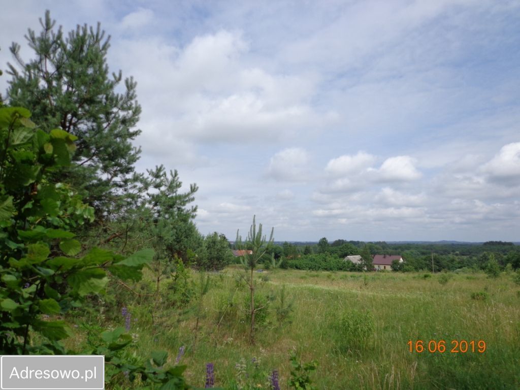 Działka rekreacyjna Cierzpięty. Zdjęcie 2