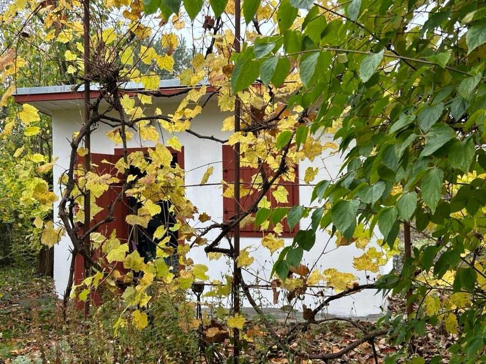 Działka rod Myślibórz. Zdjęcie 2