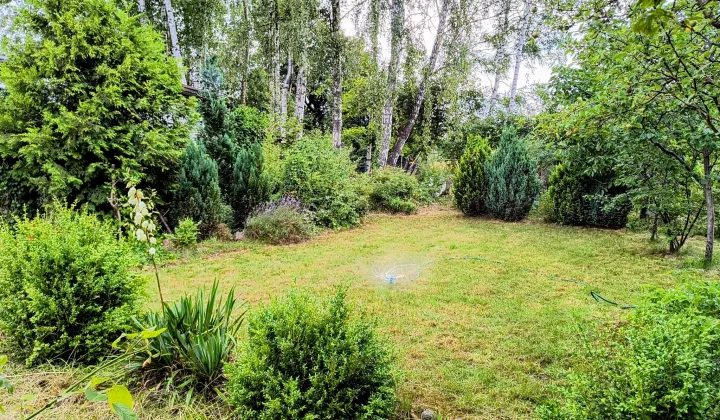 Działka rod Gdańsk Jasień, ul. Gronostajowa