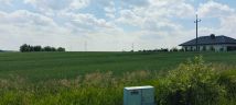 Działka rolna Radomek