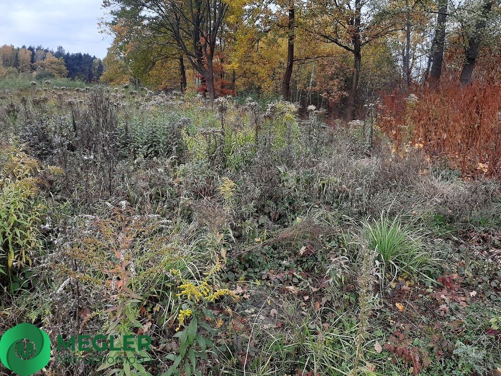 Działka budowlana Rusiec. Zdjęcie 4