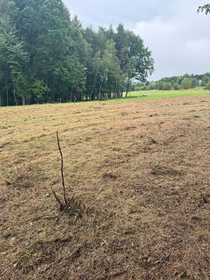 Działka rolna Limanowa Lipowe. Zdjęcie 2
