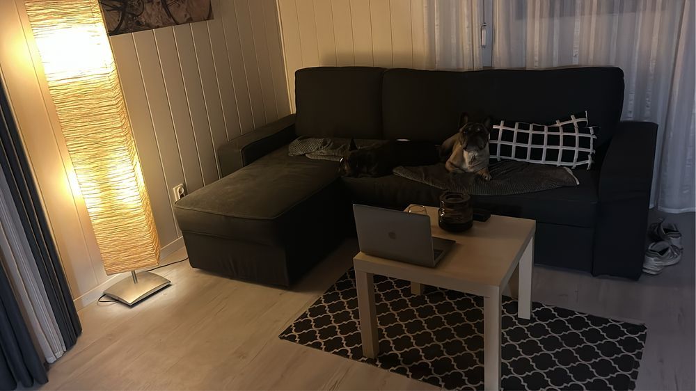 Działka rod Mrzeżyno. Zdjęcie 6