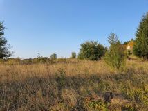 Działka inna Ryczów, ul. Ogrodzieniecka. Zdjęcie 1