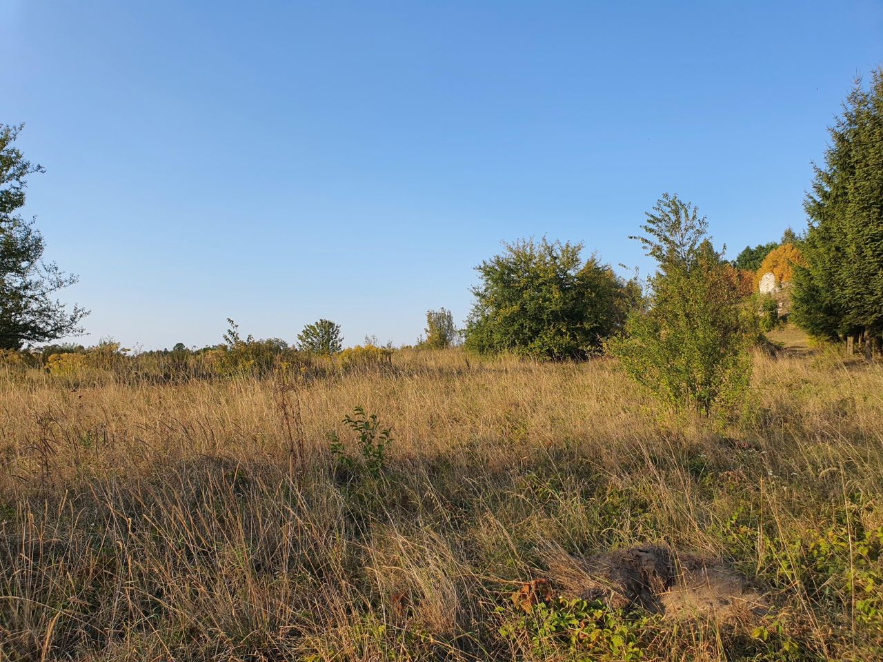 Działka inna Ryczów, ul. Ogrodzieniecka. Zdjęcie 2