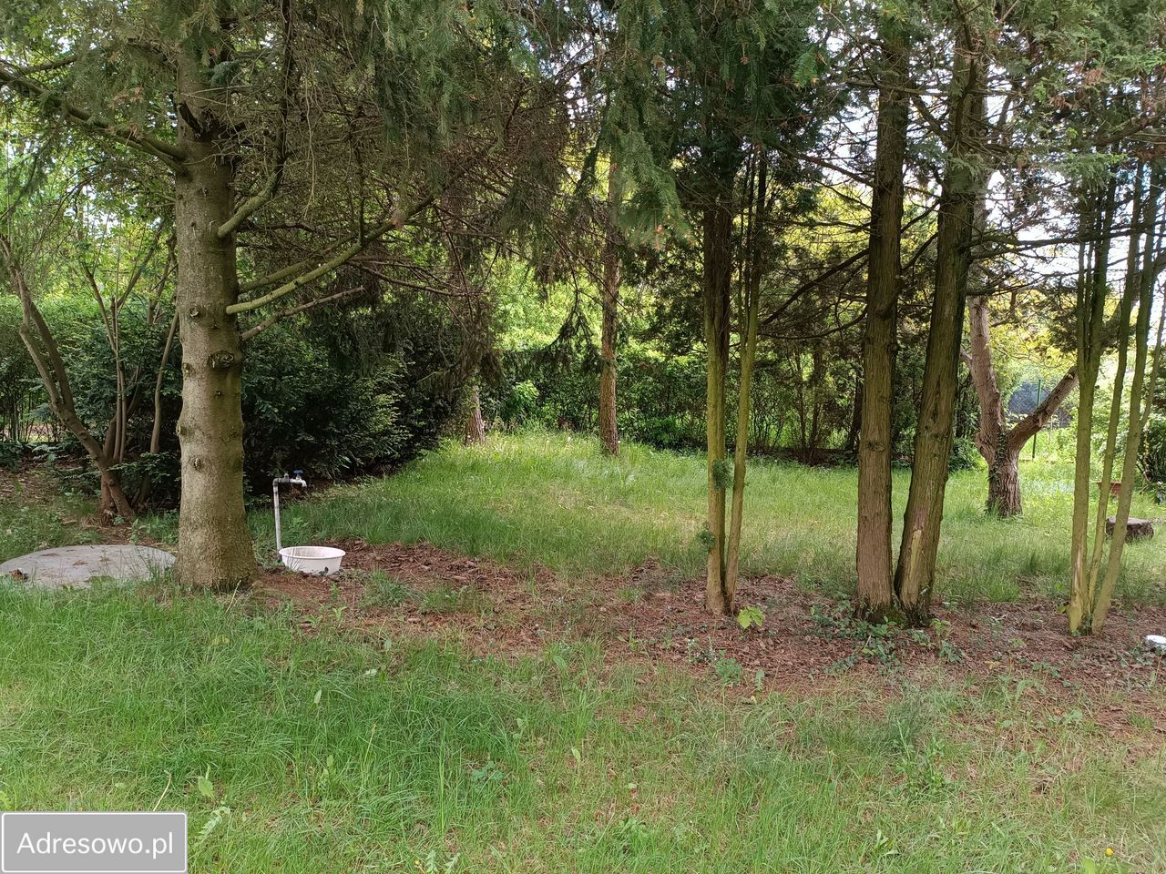 Działka budowlana Skotniki. Zdjęcie 9