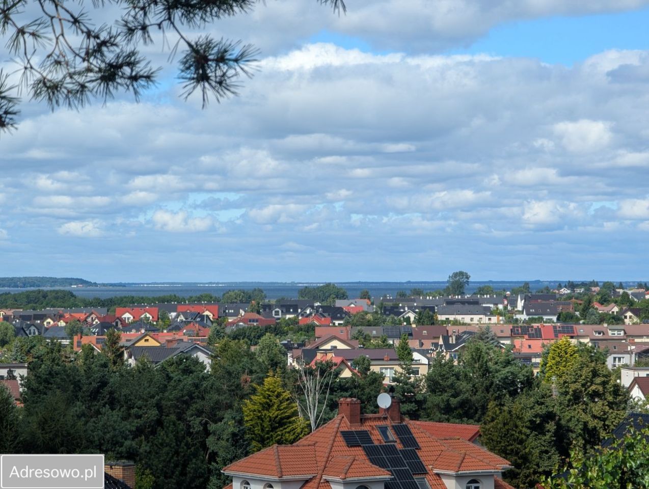 Działka inwestycyjna Mosty. Zdjęcie 3