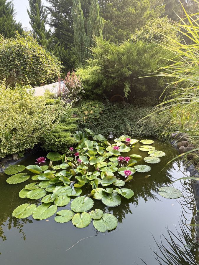 Działka rod Prawda. Zdjęcie 28