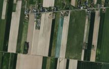 Działka rolna Bechcice-Kolonia. Zdjęcie 4