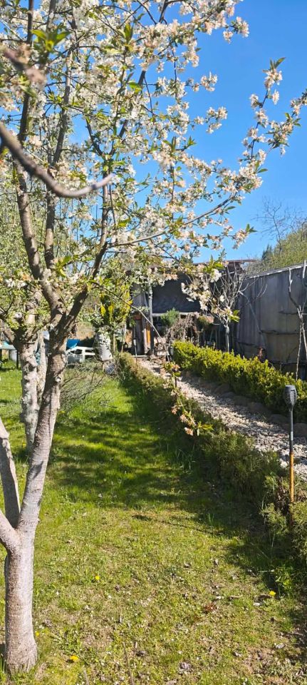 Działka rod Nowa Sól. Zdjęcie 7