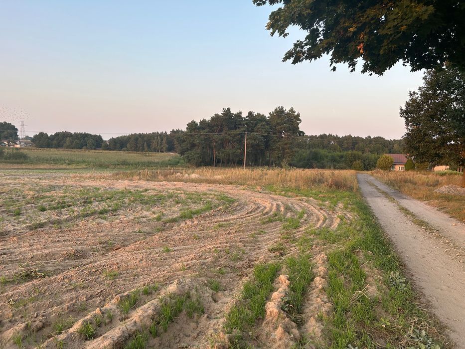 Działka budowlana Lubsin. Zdjęcie 4