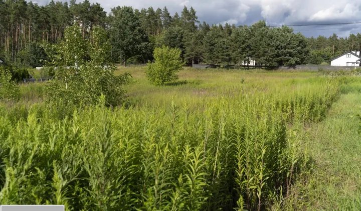 Działka rolno-budowlana Bądki, ul. Poziomkowa