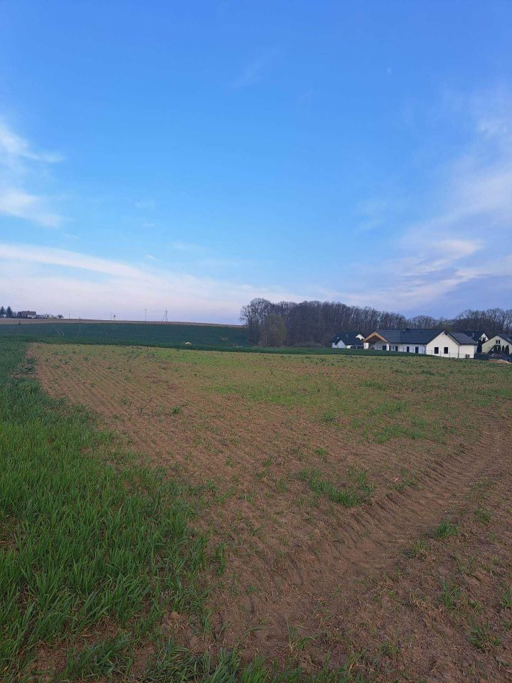 Działka rolno-budowlana Białochowo. Zdjęcie 3