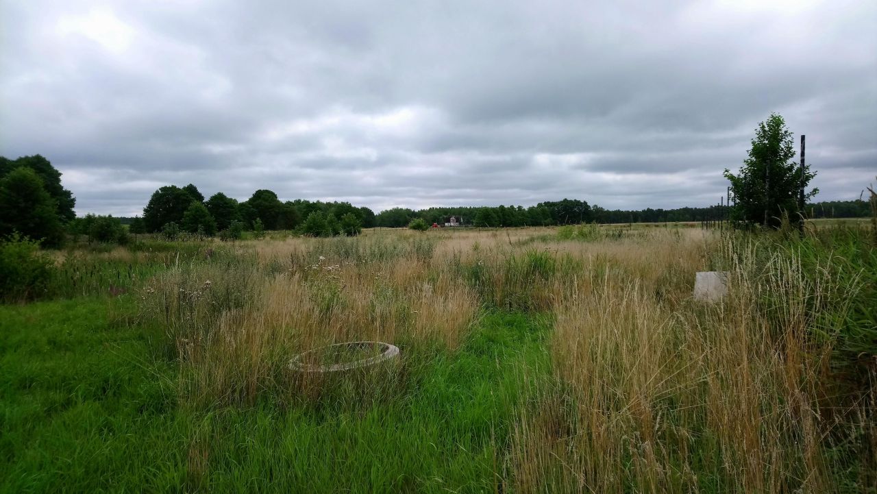 Działka rolno-budowlana Izbica Lisia Góra. Zdjęcie 9