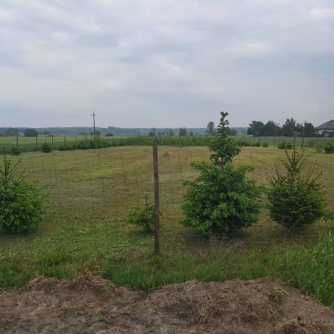 Działka rolno-budowlana Jawidz. Zdjęcie 1