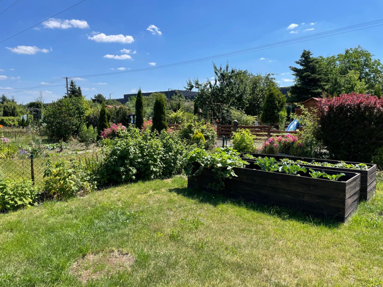 Działka rod Warszawa Targówek. Zdjęcie 5