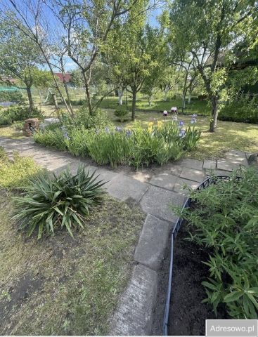 Działka rod Wrocław, ul. Wojanowska. Zdjęcie 1