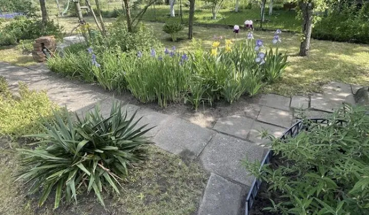 Działka rod Wrocław, ul. Wojanowska