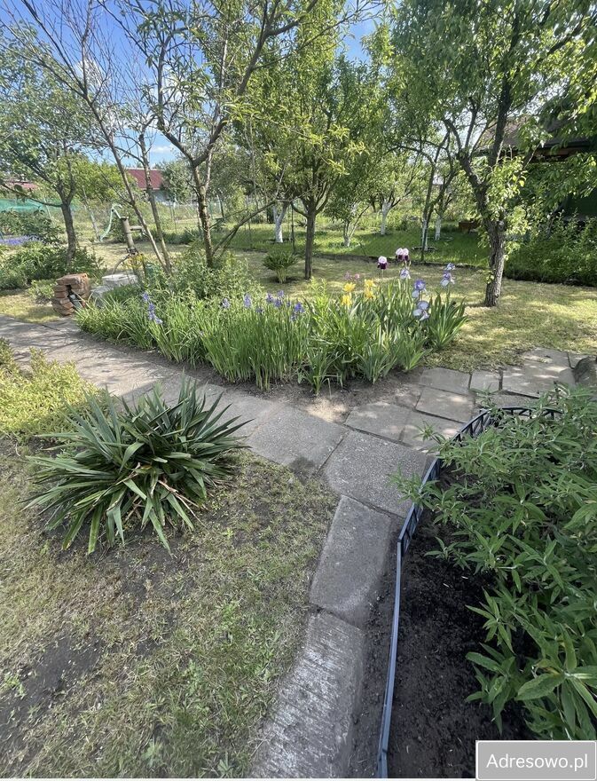 Działka rod Wrocław, ul. Wojanowska. Zdjęcie 1