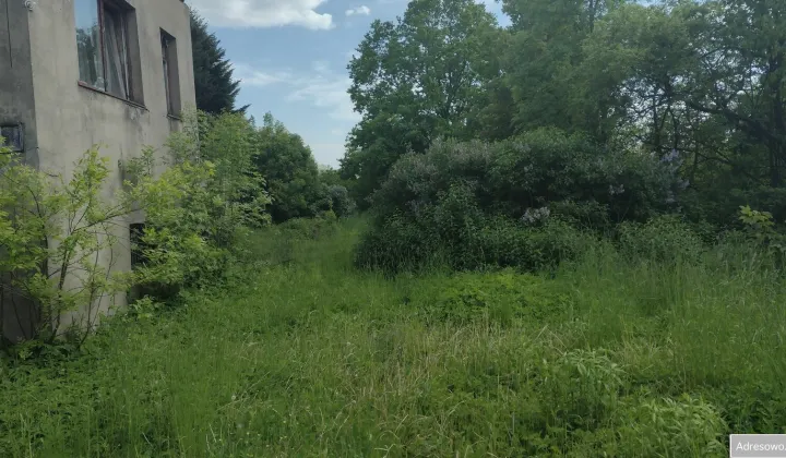 Działka budowlana Dłutów