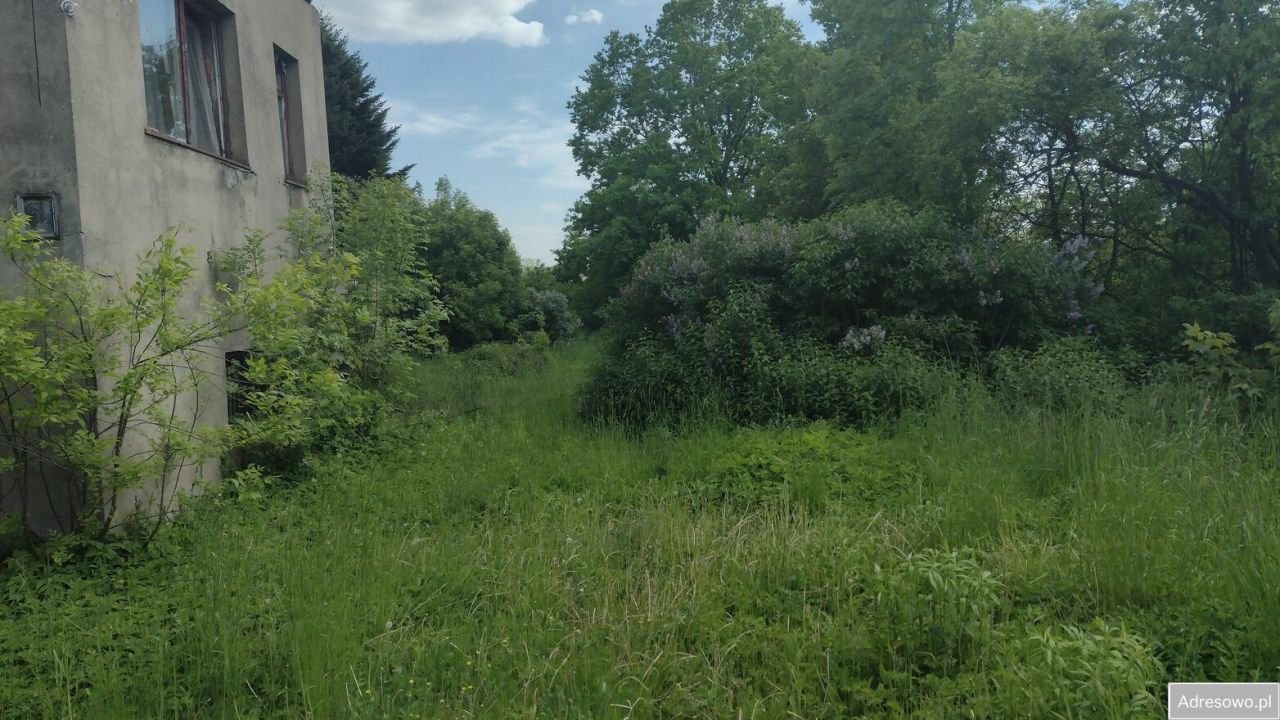 Działka budowlana Dłutów. Zdjęcie 1