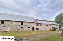 Działka inwestycyjna Starościn. Zdjęcie 2