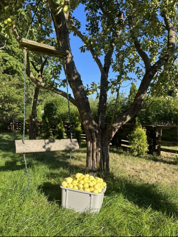Działka rod Sopot Centrum, ul. Mikołaja Reja. Zdjęcie 4