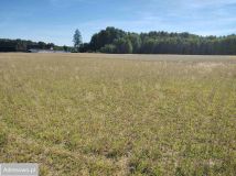 Działka budowlana Jastrzębsko Stare. Zdjęcie 1