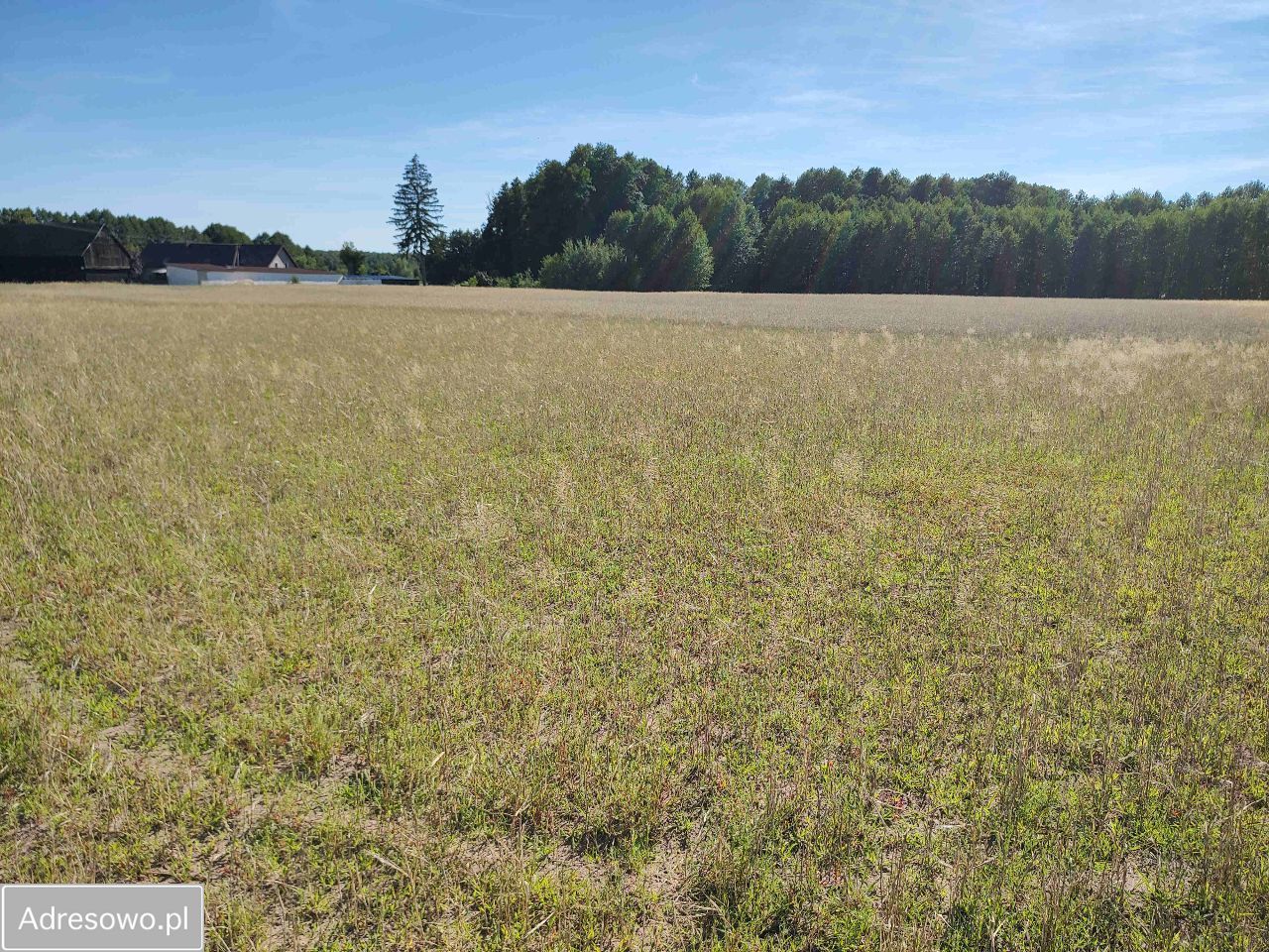 Działka budowlana Jastrzębsko Stare. Zdjęcie 2