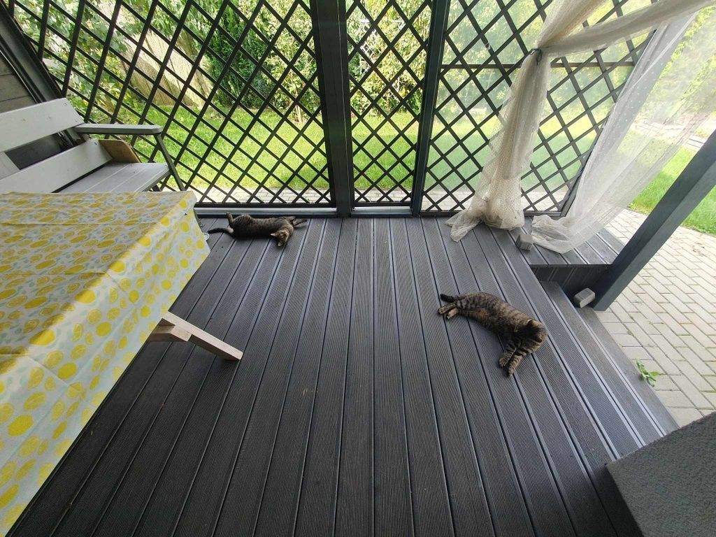 Działka rod Gniezno Winiary. Zdjęcie 7