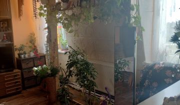 Mieszkanie 2-pokojowe Węgorzewo, ul. Pionierów