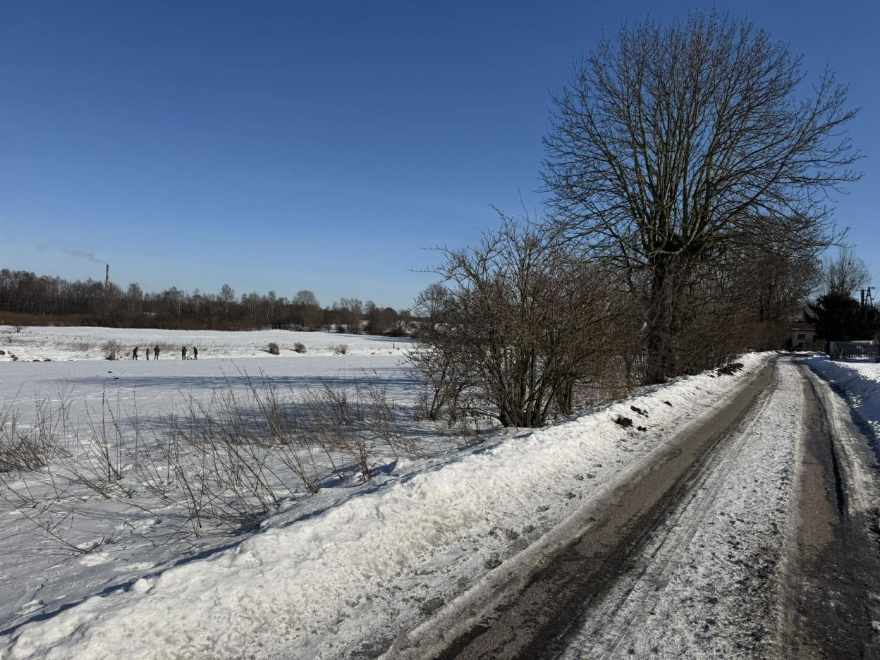 Działka budowlana Nużewo, Cyrkoniowa/Srebrna. Zdjęcie 8