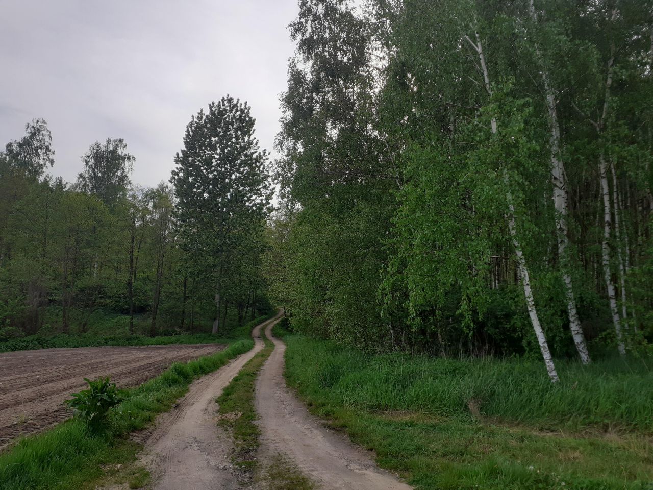 dom wolnostojący, 4 pokoje Grodnia. Zdjęcie 4