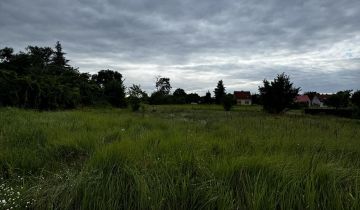 Działka budowlana Kostrzyn nad Odrą Drzewice, ul. Kościelna